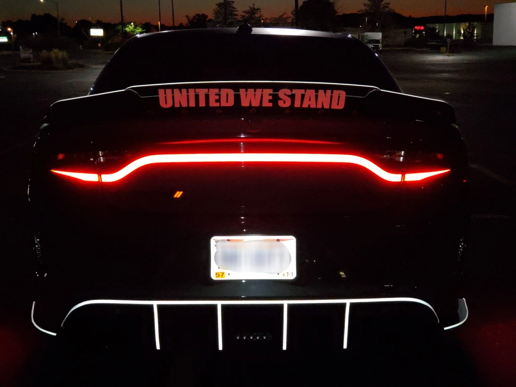 15-23 Dodge Charger Taillight Decal Design 11 - Image 2