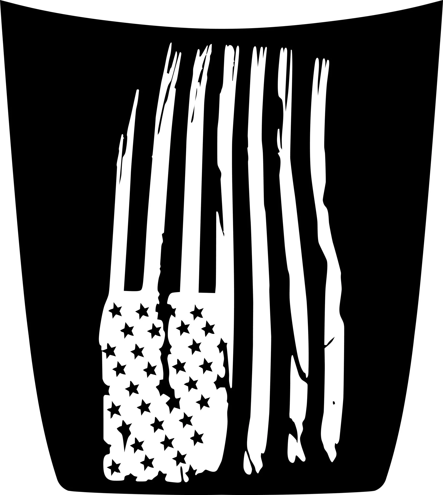American Flag Hood Decal Cover for 2021-2024 Ford Bronco Sport - Image 2