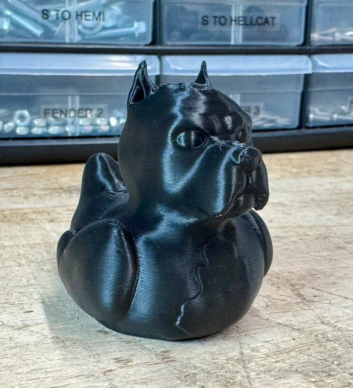 Pitbull Dog Duck - Image 4